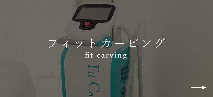 フィットカービング